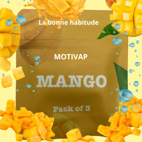 Arômes MOTIVAP™ Mini – Votre souffle apaisant au quotidien